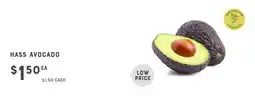 Adelaide's finest Hass avocado offer