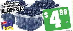 Farmer Jack's Blueberries offer