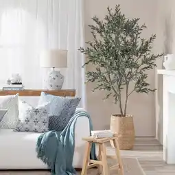 Pillow Talk Olive Tree by M.U.S.E offer