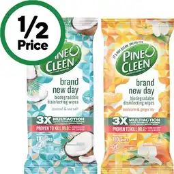 Woolworths Pine O Cleen Brand New Day Wipes Pk 110 offer