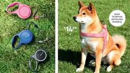ALDI Medium or Large Dog Harness or Retractable Lead Harness offer