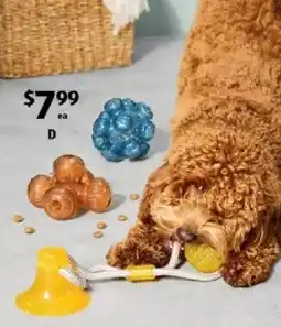 ALDI Active Pet Toy Assortment offer