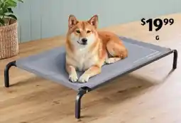 ALDI Elevated Dog Bed offer