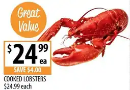 Supabarn Cooked Lobsters offer