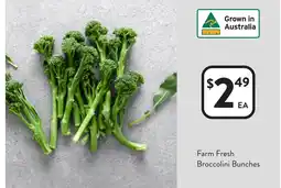 Foodworks Farm Fresh Broccolini Bunches offer