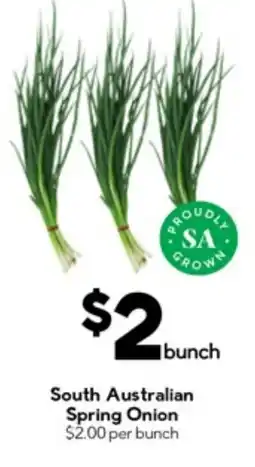 Drakes South australian spring onion offer