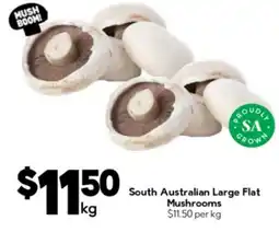 Drakes South australian large flat offer