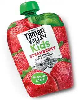 Coles Tamar Valley Dairy Kids Yoghurt Pouch 110g offer