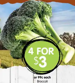 Spudshed Broccoli offer