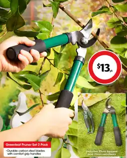 Coles Greenleaf Pruner Set offer