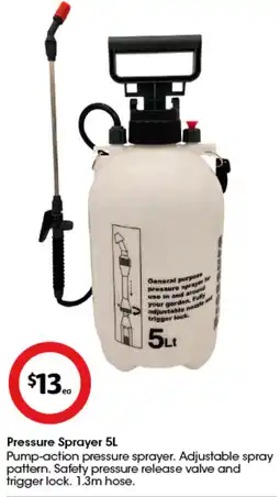 Coles Pressure Sprayer offer