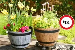 Coles Gardenista Barrel Planter offer