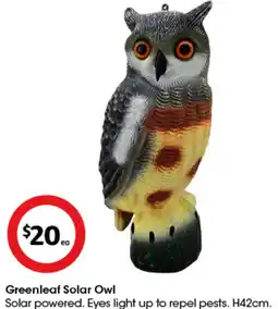 Coles Greenleaf Solar Owl offer