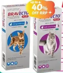 Your Discount Chemist Bravecto Plus Cat Spot On offer