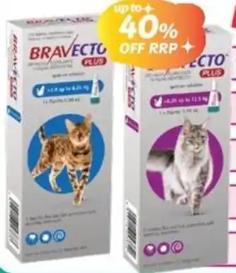 Your Discount Chemist Bravecto Plus Cat Spot On offer