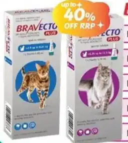 Your Discount Chemist Bravecto Plus Cat Spot On offer
