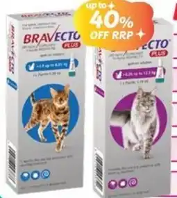 Your Discount Chemist Bravecto Plus Cat Spot On offer