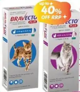 Your Discount Chemist Bravecto Plus Cat Spot On offer