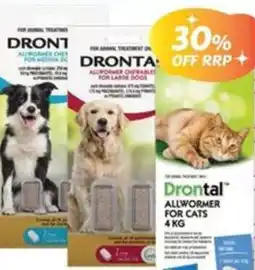 Your Discount Chemist Drontal Cat offer