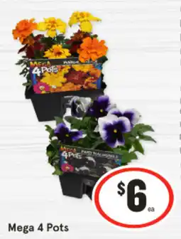 IGA Mega 4 Pots offer