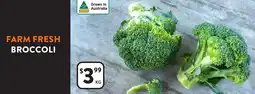 Foodworks Broccoli offer