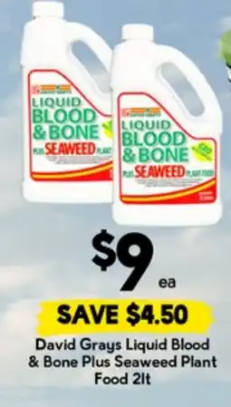 Drakes David Grays Liquid Blood & Bone Plus Seaweed Plant Food offer