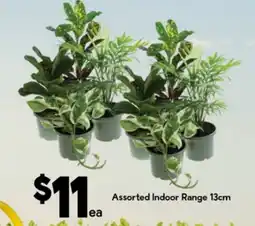 Drakes Assorted Indoor Range offer