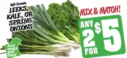 Farmer Jack's Leeks, kale, or spring onions offer