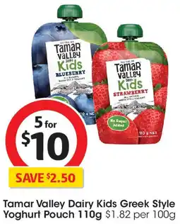 Coles Tamar Valley Dairy Kids Greek Style Yoghurt Pouch offer
