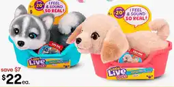 Kmart Little Live Pets My Really Real Puppy Mini Toy offer