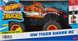 Target Hot Wheels 1:24 RC Monster Truck. Assorted offer