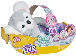 Target Little Live Pets Cozy Dozy Koala offer