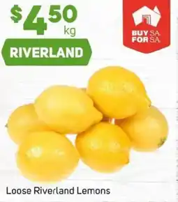 Foodland Loose riverland lemons offer