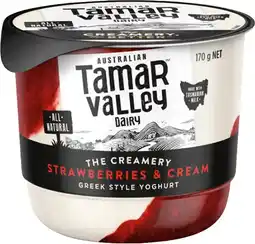IGA Tamar Valley Greek Style Yoghurt 170g Selected Varieties offer
