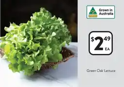 Foodworks Green oak lettuce offer