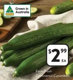 Foodworks Farm fresh continental cucumbers offer
