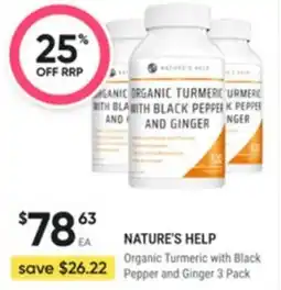 Healthy Life Nature's help Organic Turmeric with Black Pepper and Ginger offer