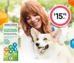 Healthy Life Pharmacy medicine flixonase offer