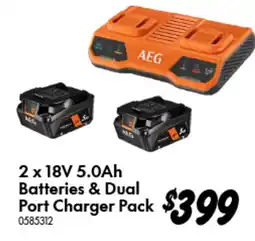 Bunnings 2 x 18V 5.0Ah Batteries & Dual Port Charger Pack offer