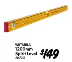 Bunnings Spirit Level offer