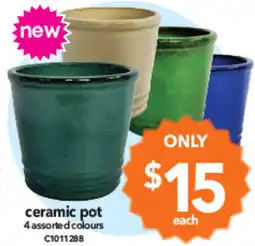Cheap as Chips ceramic pot 4 assorted colours offer