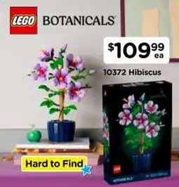 Toyworld Hibiscus offer