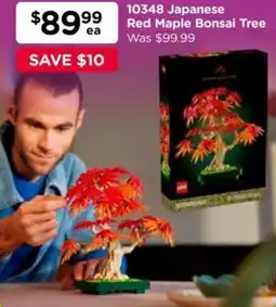 Toyworld Japanese Red Maple Bonsai Tree offer
