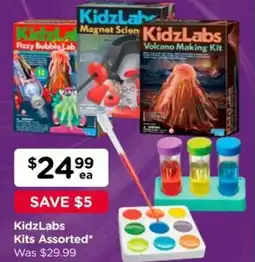Toyworld KidzLabs Kits Assorted offer