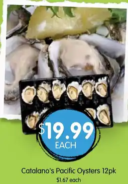 Spudshed Catalano's Pacific Oysters offer