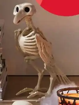Kmart Bird skeleton offer