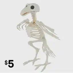 Kmart Bird skeleton offer