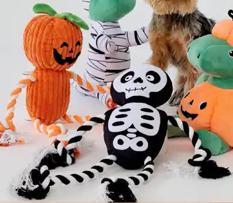 Halloween rope inside toy - assorted