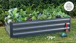 ALDI Large Metal Garden Bed offer