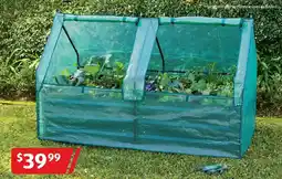 ALDI Large Drop-Over Greenhouse offer